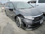 Honda Odyssey 2023