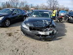 Lexus IS 2008