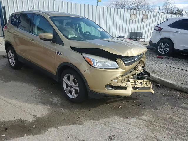 Ford Escape 2014