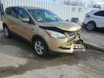 Ford Escape 2014