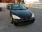 Ford Focus 2000
