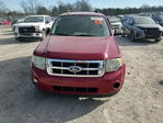 Ford Escape 2011