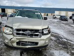 Ford Escape 2010