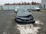 Honda Civic 2024