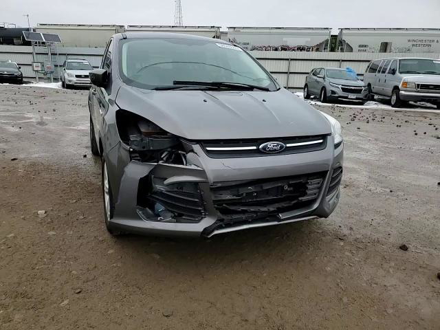 Ford Escape 2014