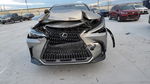 Lexus NX 2022
