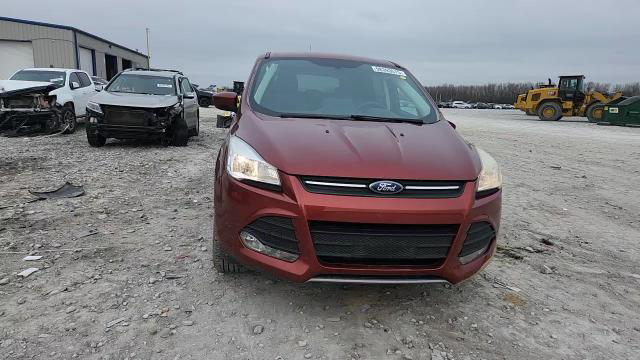Ford Escape 2014