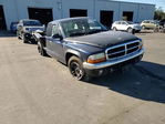 Dodge Dakota 2004