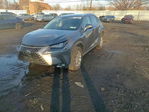 Lexus NX 2020