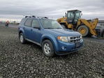 Ford Escape 2009