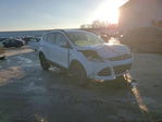 Ford Escape 2016