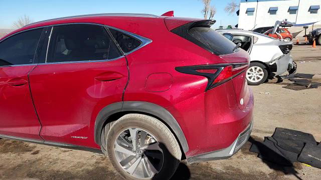 Lexus NX 2019