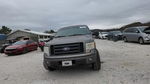 Ford F-150 2010
