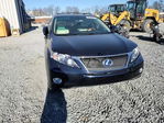 Lexus RX 2010