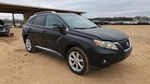 Lexus RX 2010