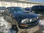 Ford Mustang 2008