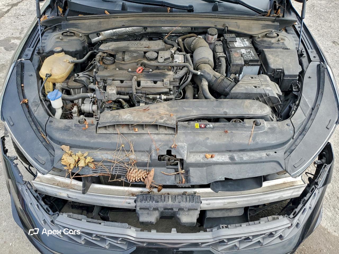 Kia K5 2022