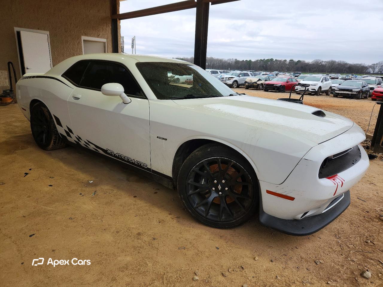 Dodge Challenger 2019