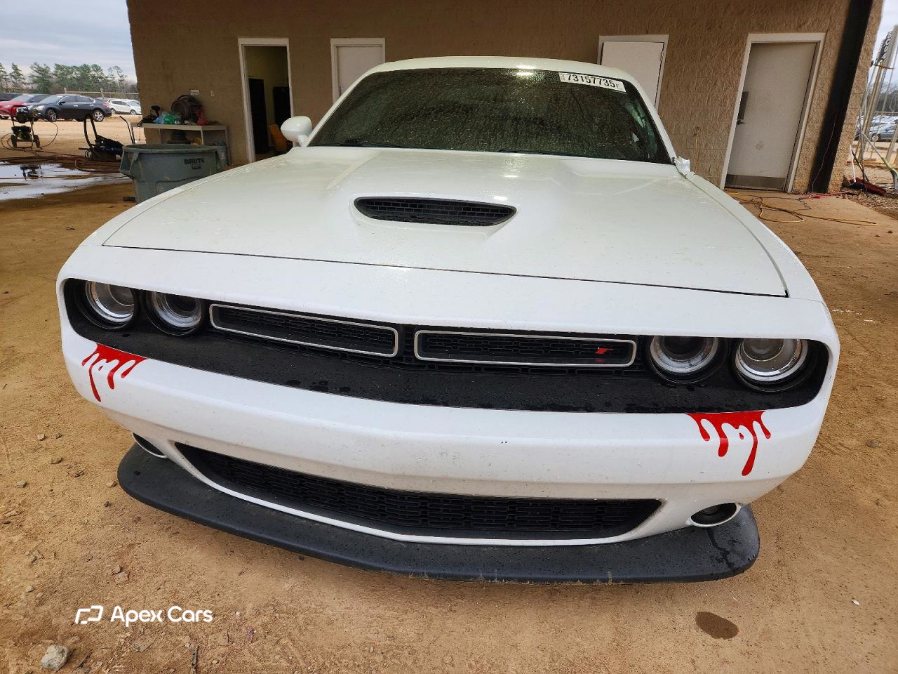Dodge Challenger 2019