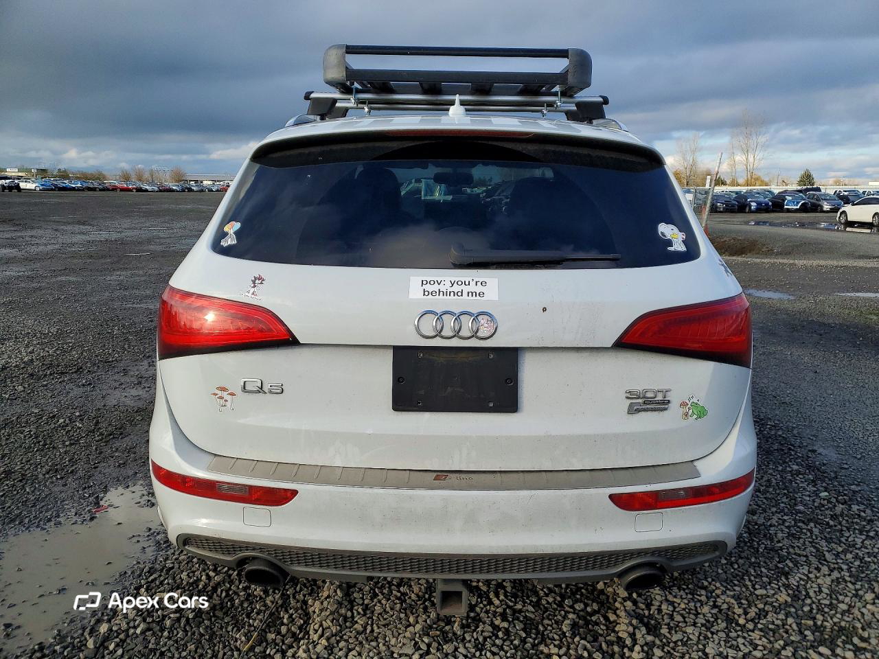 Audi Q5 2013
