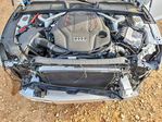 Audi RS5 2025