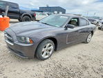 Dodge Charger 2014