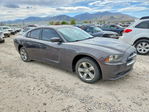 Dodge Charger 2014