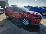 Dodge Hornet 2024