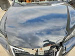 Lexus NX 2017
