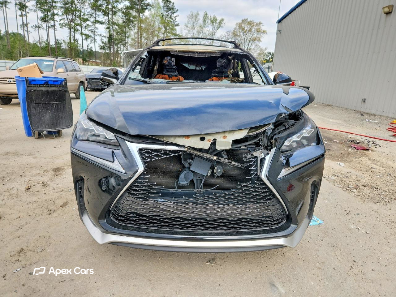 Lexus NX 2017