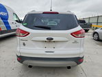 Ford Escape 2016