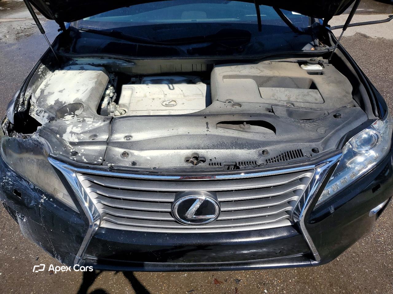 Lexus RX 2013