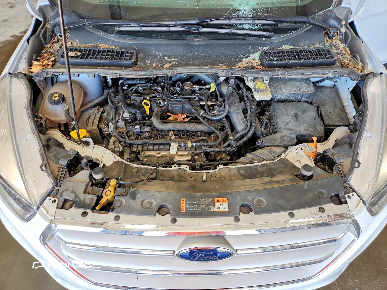 Ford Escape 2019