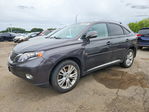 Lexus RX 2010