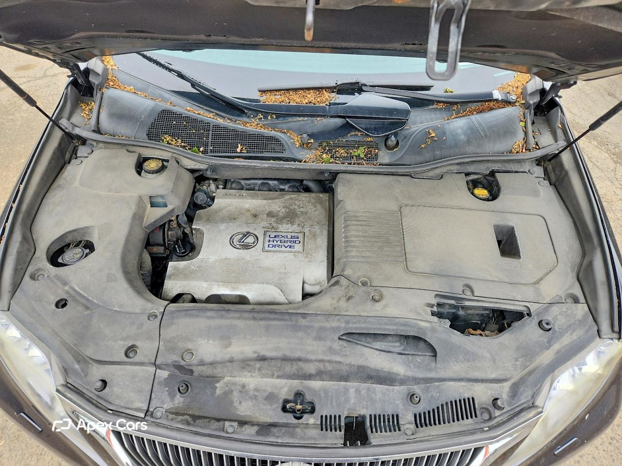 Lexus RX 2010