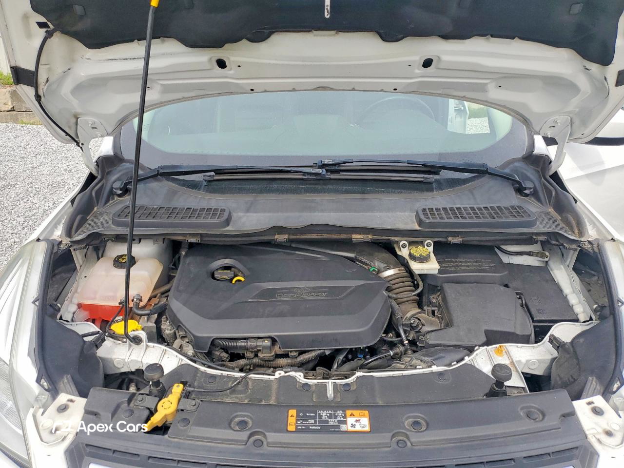 Ford Escape 2014