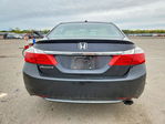 Honda Accord 2013