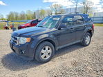 Ford Escape 2012