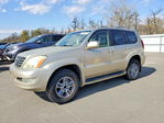 Lexus GX 2007