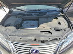 Lexus RX 2013