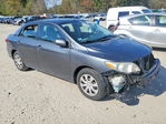 Toyota Corolla 2011