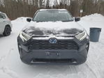 Toyota RAV 4 2021