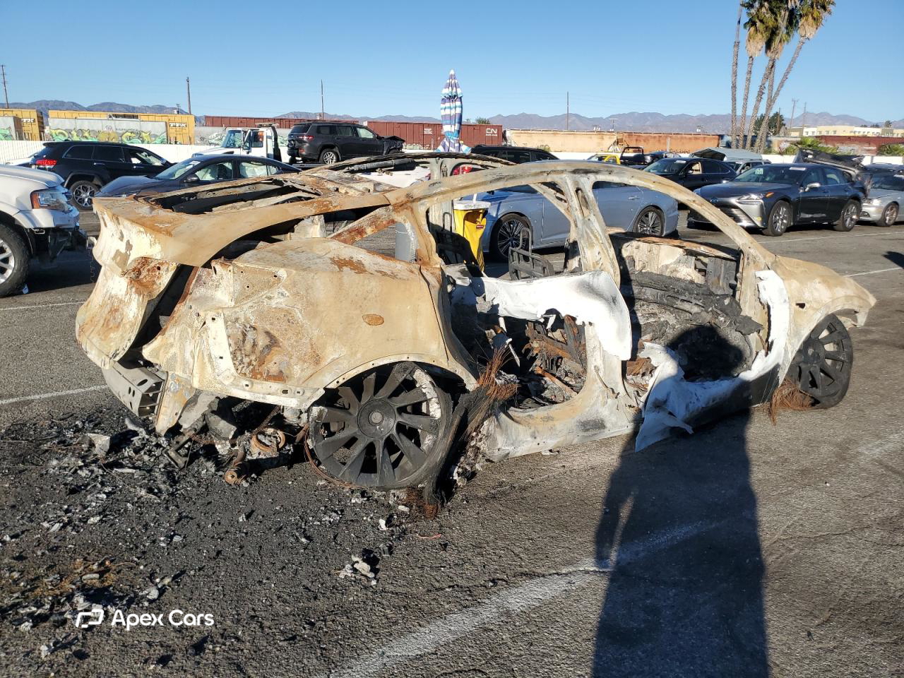 Tesla Model Y 2021
