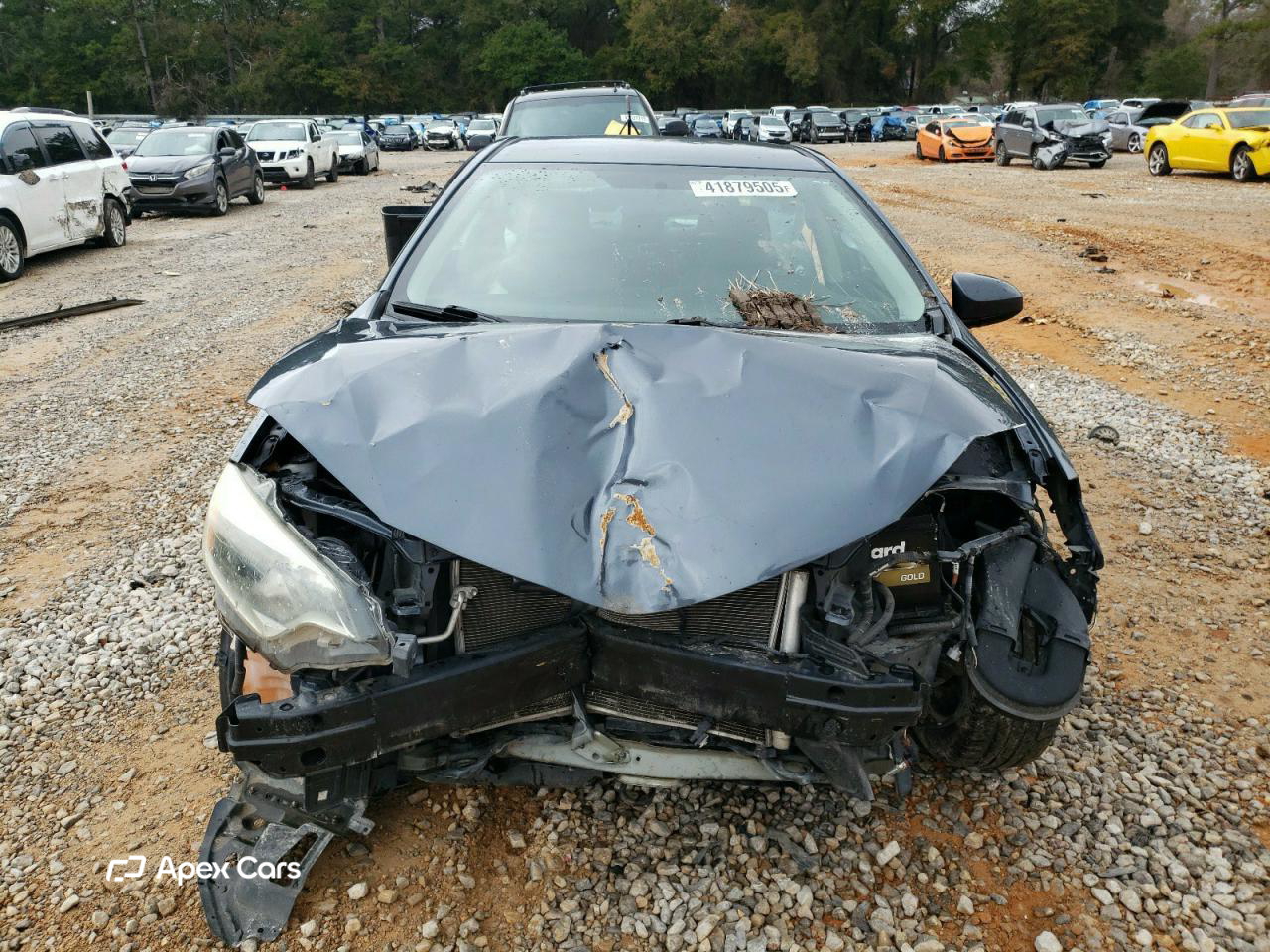 Toyota Corolla 2015