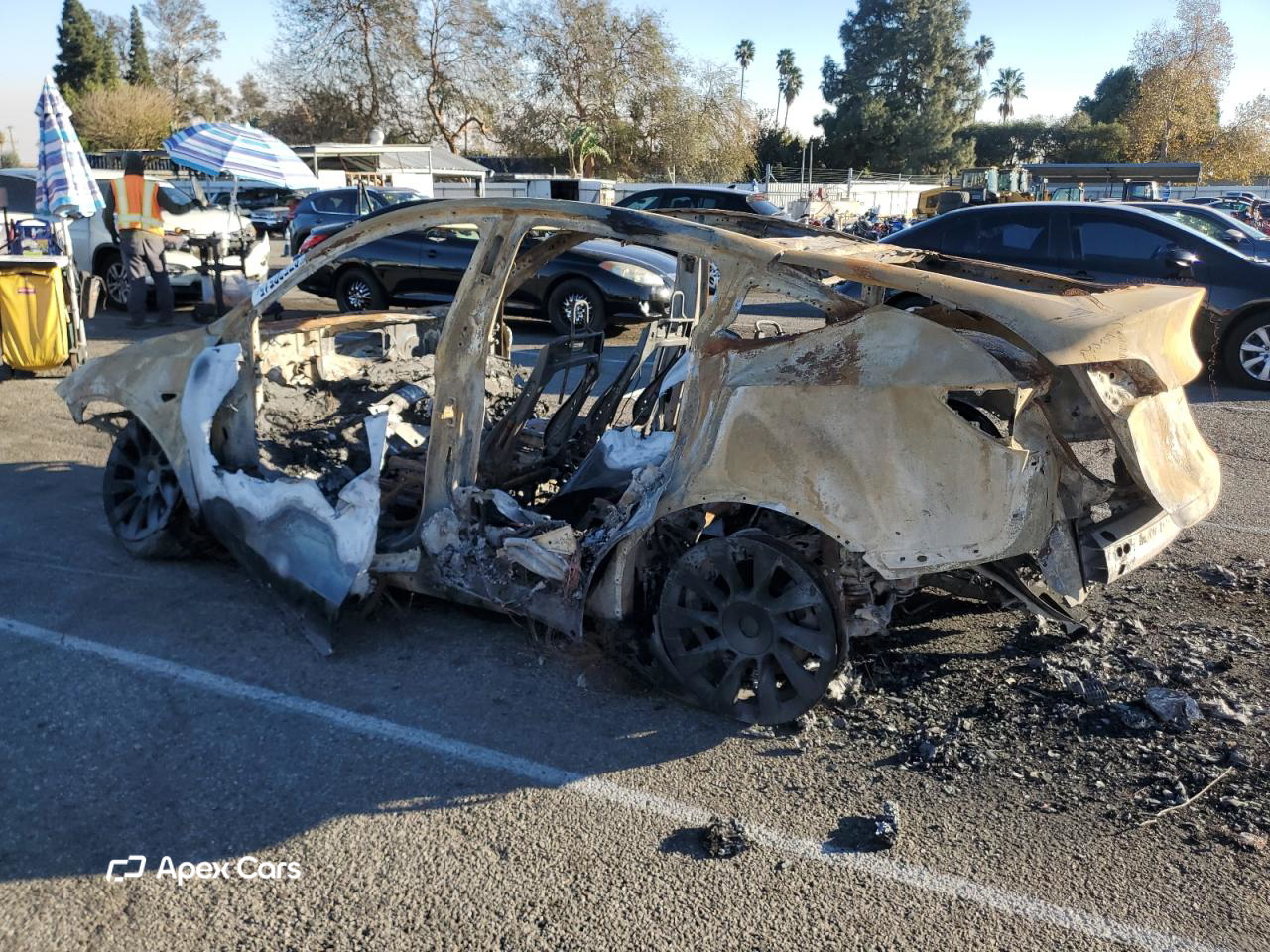 Tesla Model Y 2021