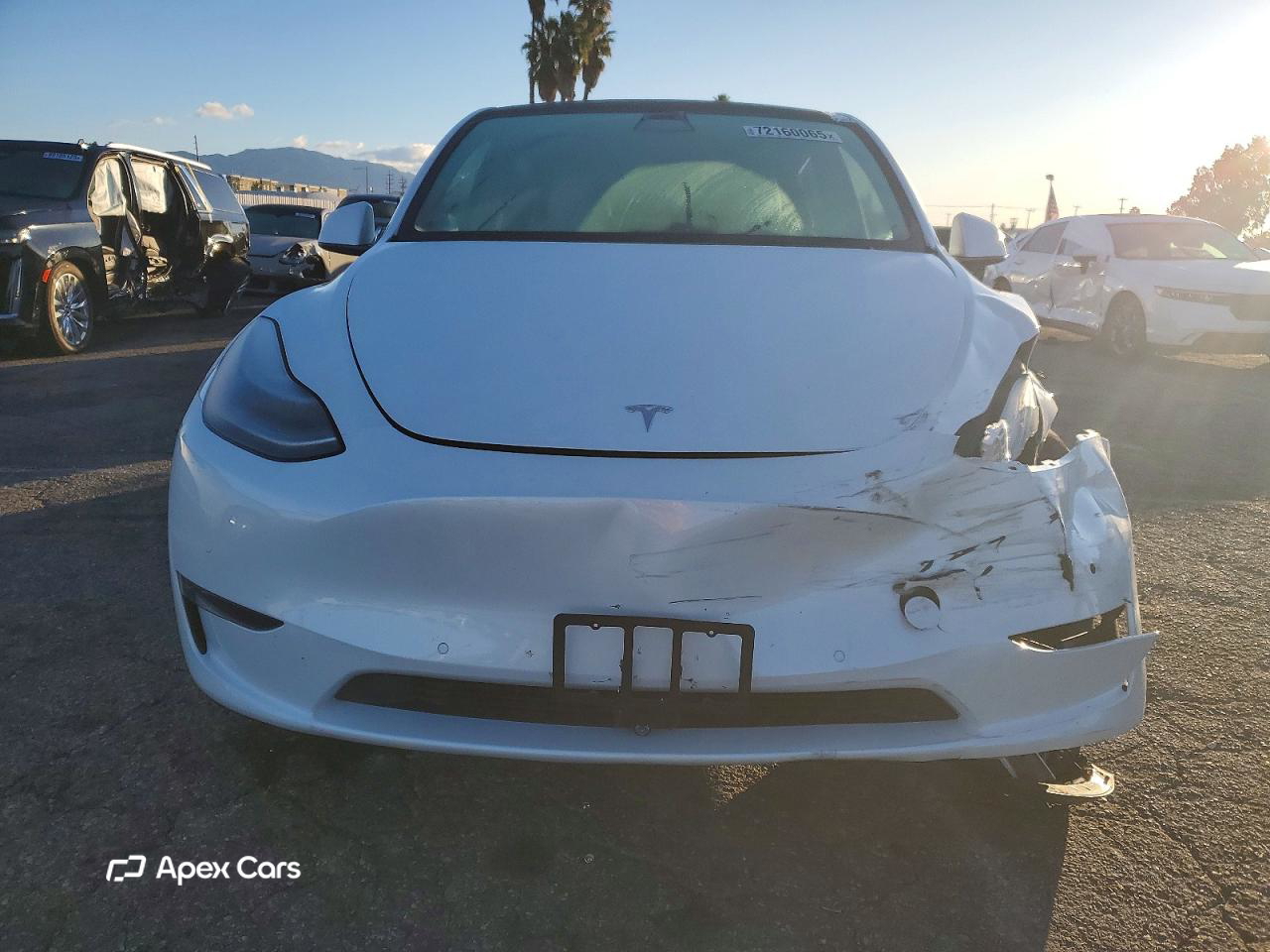 Tesla Model Y 2021