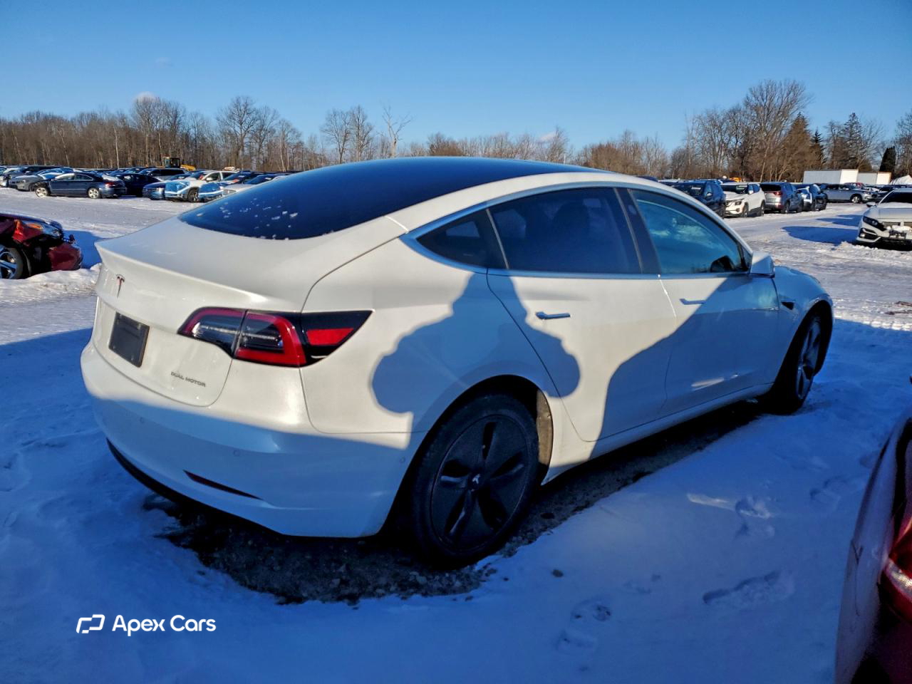 Tesla Model 3 2021