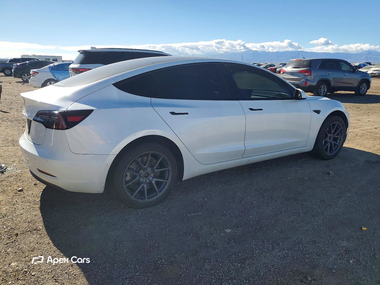 Tesla Model 3 2022
