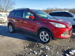 Ford Escape 2014
