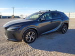 Lexus RX 2025